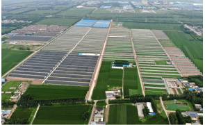 中国500强信发集团农业园区项目