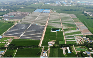 中国500强信发集团农业园区项目