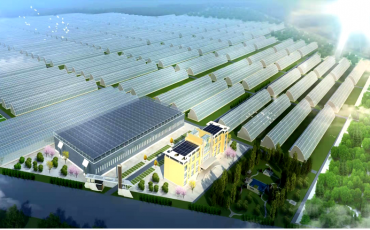 中国500强信发集团数字农业智慧园区项目