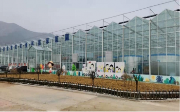 中国500强永鑫能源樱桃园项目